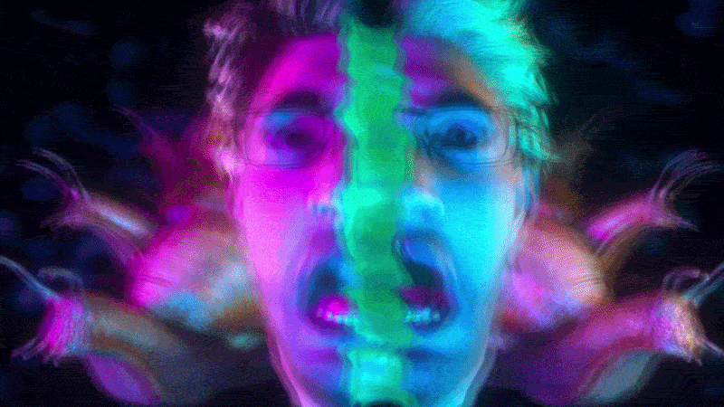 Snails Visuals